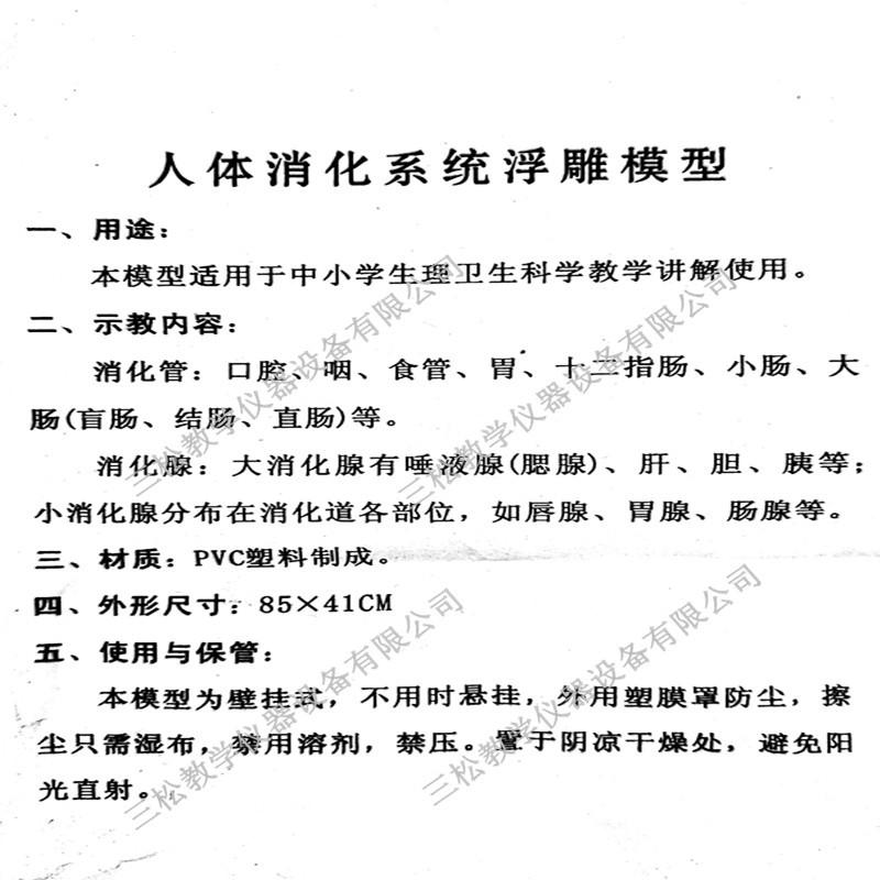 人体消化系统浮雕模型6_副本