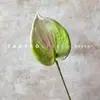 Loto de Guanyin Simulado, Arreglo de Flores de Anturio de Alta Calidad, Flor Decorativa, Ramo de Mano, Accesorios para Fotografía