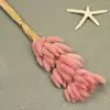 Flores Secas, Cola de Conejo, 60 Piezas/Manojo, Ramo de Lujo Ligero, Adornos de Flores Reales, Pequeño Ramo de Flores Eternas Regalo, Materiales de Flores Reales