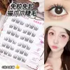 Belleza maquillaje talento par toque autoadhesivo sin pegamento juego pestañas postizas grupo de mujeres natural segmentado caricatura pestaña hada