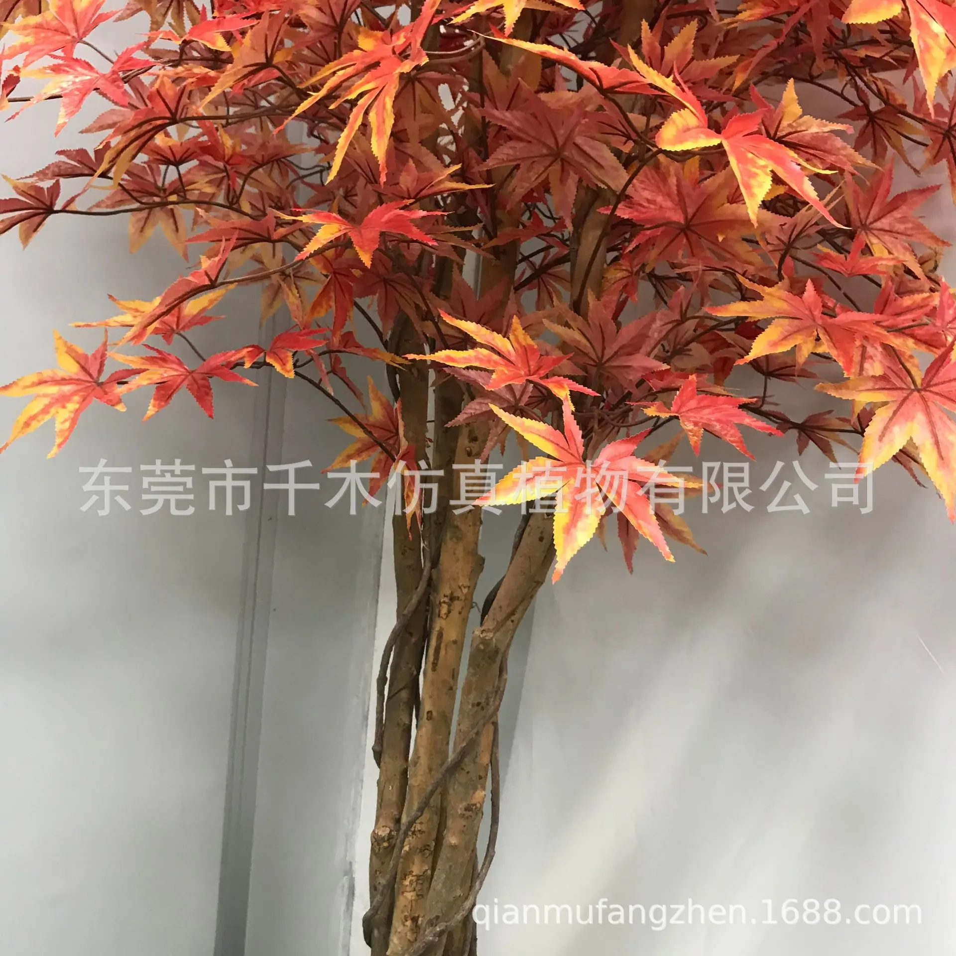 微信图片_2021052809445335