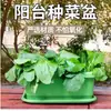 Maceta Grande para Verduras de Balcón Cebollín Cilantro Cebollín Pequeño Caja de Plantación Interior Maceta Grande Rectangular Gruesa de Plástico para Flores