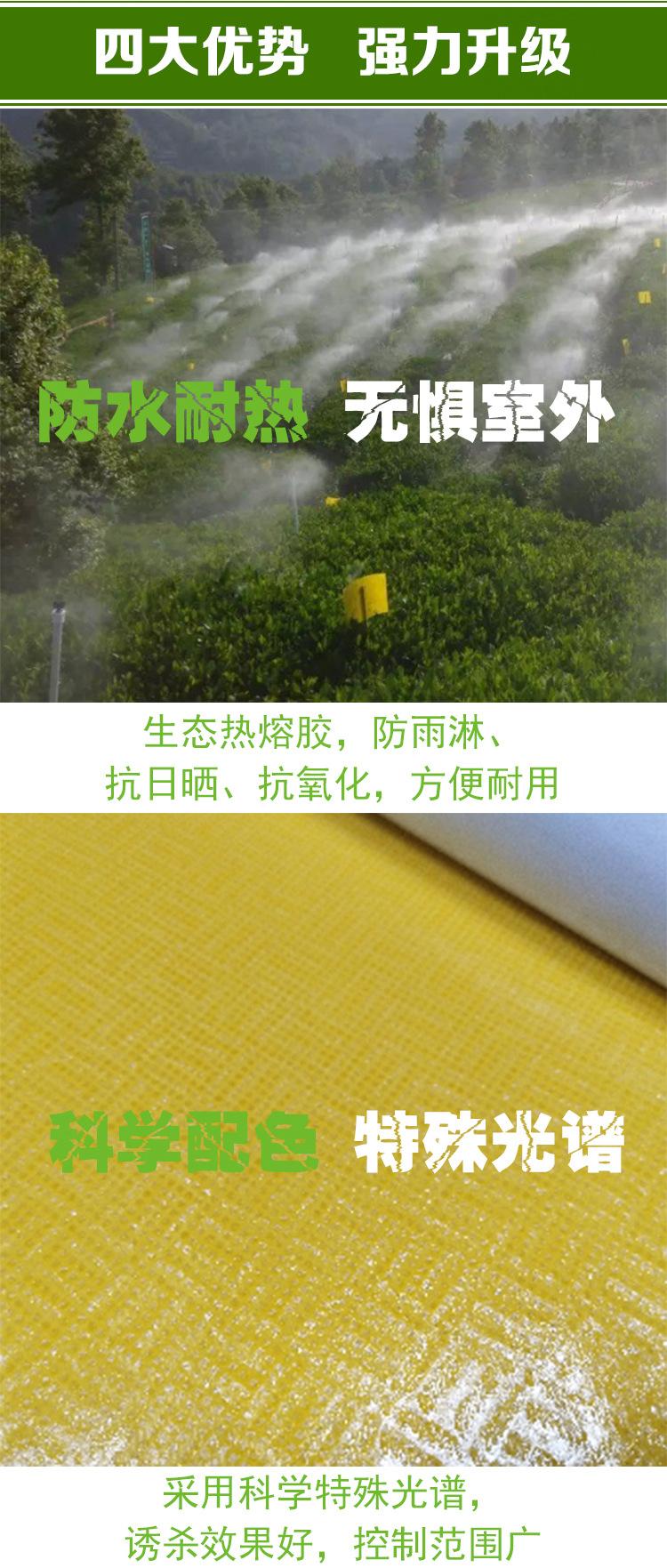 黄板详情图_02.jpg