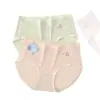 Fabricante de Ropa Interior de Alta Calidad al por Mayor Calzones de Algodón para Mujer, Calzones de Algodón Triángulo Talla de Mujer, Cómodos para Mujeres Mayores, Fibra Suave, Adecuados para Transmisiones en Vivo