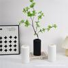 Jarrón de Plástico Estilo Ins Simple Nórdico Arreglo Floral Hecho a Mano DIY Jarrón de Plástico Estilo Nórdico Estilo Ins Alto Valor de Color Sala de Estar