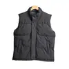 Chaleco chaqueta de algodón casual, impermeable, cortavientos, mullido, cálido, cómodo, versátil, engrosado, con cuello alto, para otoño e invierno, para exteriores