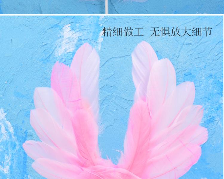 白色羽毛_06.jpg