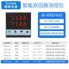 Controlador de temperatura, presión y nivel de líquido de doble circuito y doble haz de luz con dos instrumentos de visualización y dos entradas de señal 485