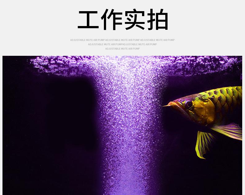 LNP-50详情_19