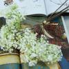 Flor Simulada Plástico Gipsofila Cor Pintura a Óleo Buquê de Flores Selvagens Europeias Buquê de Casamento Acessórios de Arranjo de Flores Decoração para Casa
