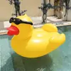 Atacado spot pato amarelo inflável grande Montar parque aquático animal espesso cama flutuante pato óculos de sol espreguiçadeira de pato