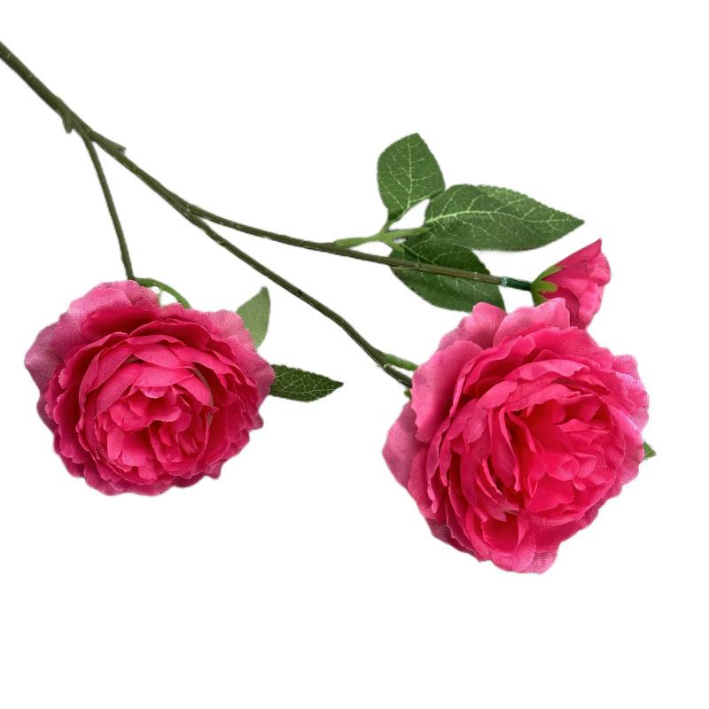 微信图片_20230414124202_副本