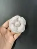 Novo broche de camélia de alta qualidade estilo Chanel, 8 cm de altura, tecido de nylon com flor grossa, flor superformada, pequeno aroma, joia corsage com broche