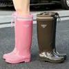Botas de Chuva para Mulheres, Botas de Chuva da Moda, Novos Sapatos Aquáticos Tendência, Forradas com Lã de Inverno, Sola Grossa, Antiderrapantes, Impermeáveis, Botas de Borracha de Cano Longo com Solas Macias