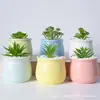 Macetas de Cerámica, Macetas para Plantas Verdes, Adornos de Decoración para Escritorio y Hogar, Bonsáis Creativos Hechos a Mano, Macetas de Cerámica Creativas
