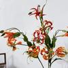 Jialan Lirio de Fuego Flor de Simulación de Alta Calidad Belleza Chen Dispositivo Modelo Habitación Disparo Accesorios Dispositivo Diseño