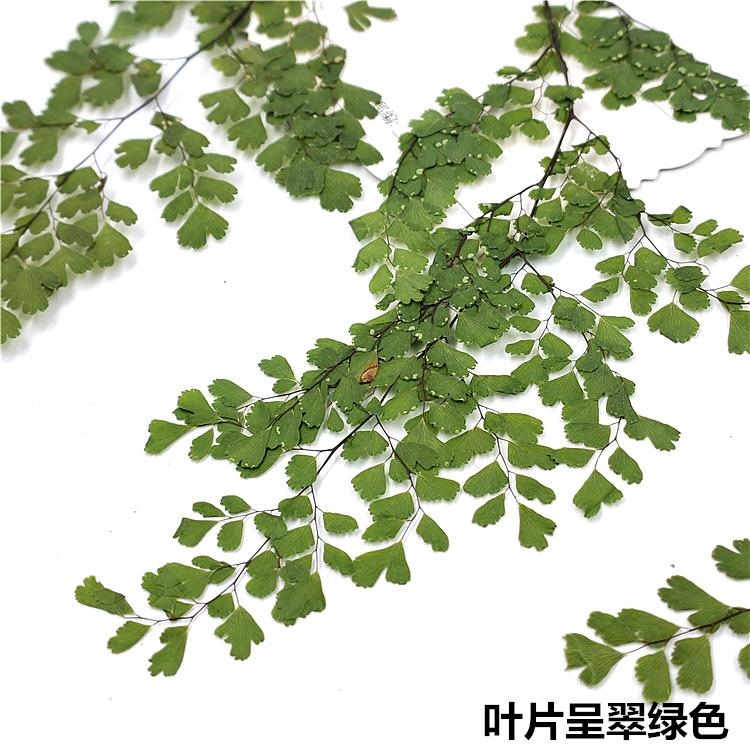 IMG20200306150422