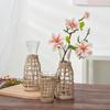 En stock Botella de Vidrio Hidropónica de Paja Multifuncional Adornos Decorativos de Escritorio para Sala de Estar Florero Creativo Al por Mayor