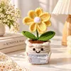 Planta de Vasinho Crochê Flor Gesang Acabada Ornamento de Tricô de Lã Feito à Mão Planta de Cartão Emocional Planta de Vasinho Decoração de Mesa Flor