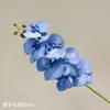 7 orquídeas Phalaenopsis artificiais, ramos de Phalaenopsis suspensos estilo europeu com textura delicada, ramos de orquídea Yunsu para paisagismo decorativo