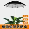 Mini Sombrilla para Plantas de Balcón para Bonsái, Flores Suculentas, Protección Solar, Aislamiento Térmico, Sombrilla para Maceta de Jardín