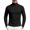Camiseta básica de manga larga para hombre de color liso para otoño, importada, con cuello alto superpuesto, camiseta interior casual ajustada para hombre
