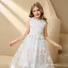 Vestido de princesa de malla bordada para niñas transfronterizo, nuevo estilo de verano, simple y lindo, vestido sin mangas de encaje para anfitriona