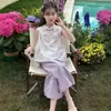 Conjunto de Ropa de Verano para Niñas 2026 Nuevo Estilo Moda Infantil Estilo Chino Hanfu Conjunto de Dos Piezas para Niñas Pequeñas Ropa Delgada de Verano