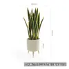 Planta artificial de aloe simulada nórdica, orquídea tigre falsa, suculentas tropicales, decoración para sala de estar interior, adornos para escaparates