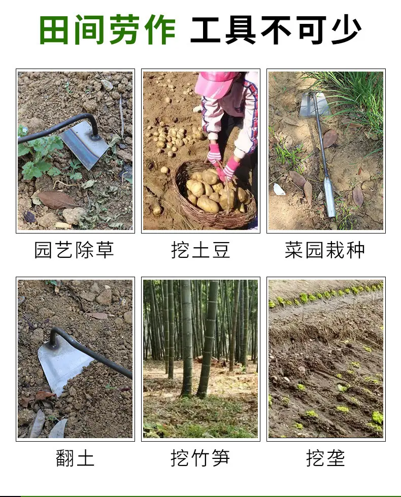 详情_02.jpg