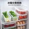 Caja de almacenamiento sellada rectangular larga para refrigerador, para guardar cebolletas, jengibre y cilantro, herramienta rectangular transparente antiolor para conservación de alimentos