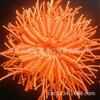 Colgante Nudo Vajra Artículos Budistas de Xizang Accesorio para Llaves Cordón Cordyceps Pequeño Nudo Vajra Nudo Auspicioso Bodhi Estilo Xizang