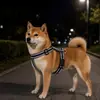 Arnés tipo chaleco ajustable para mascotas para Labrador y Shiba Inu, previene que las mascotas se escapen durante los paseos, ligero y anti-escape