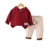 Roupa Infantil Menino Conjunto de Outono Novo Conjunto de Duas Peças Casual Estilo Ocidental com Capuz e Manga Longa para Cabelo
