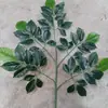 Hojas de Arce Falsas, Hojas de Baniano, Hojas de Ginkgo, Hojas de Abedul Blanco, Ramas y Hojas de Mango, Ramas Falsas, Decoración de Jardinería, Follaje al por Mayor