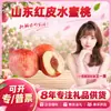 Melocotones de Piel Roja de Shandong Seleccionados Cuidadosamente Dropshipping 2250g Melocotones de Cabello Rojo Otoño Dorado Miel Roja Fruta Fresca