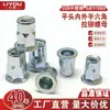 Tuerca remachable de acero inoxidable 304 de cabeza plana semi-hexagonal interna y externa Gb/T17880