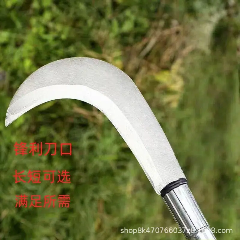微信图片_20260525102339_4298_24.jp