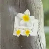 Nuevo Set de Pinzas para el Cabello Flor de Huevo de Amazon Pinza para la Parte Trasera de la Cabeza Bauhinia Pinza Tiburón de Temperamento Accesorios para el Cabello Tocado