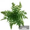 Parede de planta artificial acessórios para arranjo de flores flor artificial planta verde vaso decoração de parede folhas 7 folhas artificiais de rabanete verde coração de galinha