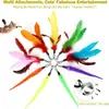 Juego de 11 Piezas de Juguetes para Gatos con Cabezales de Plumas de Colores, Caña de Pescar de Tres Secciones, Oruga, Juguete de Plumas para Gatos Transfronterizo