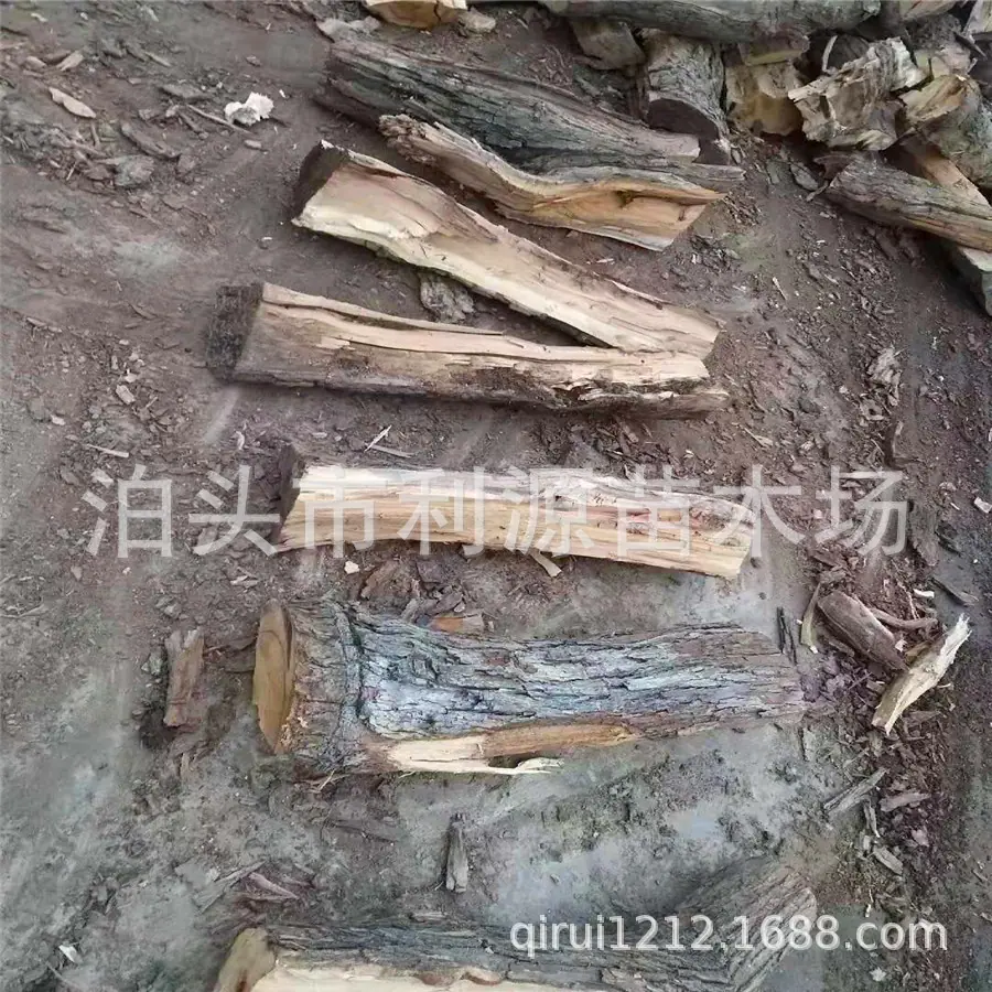 微信图片_20190925082052.jpg