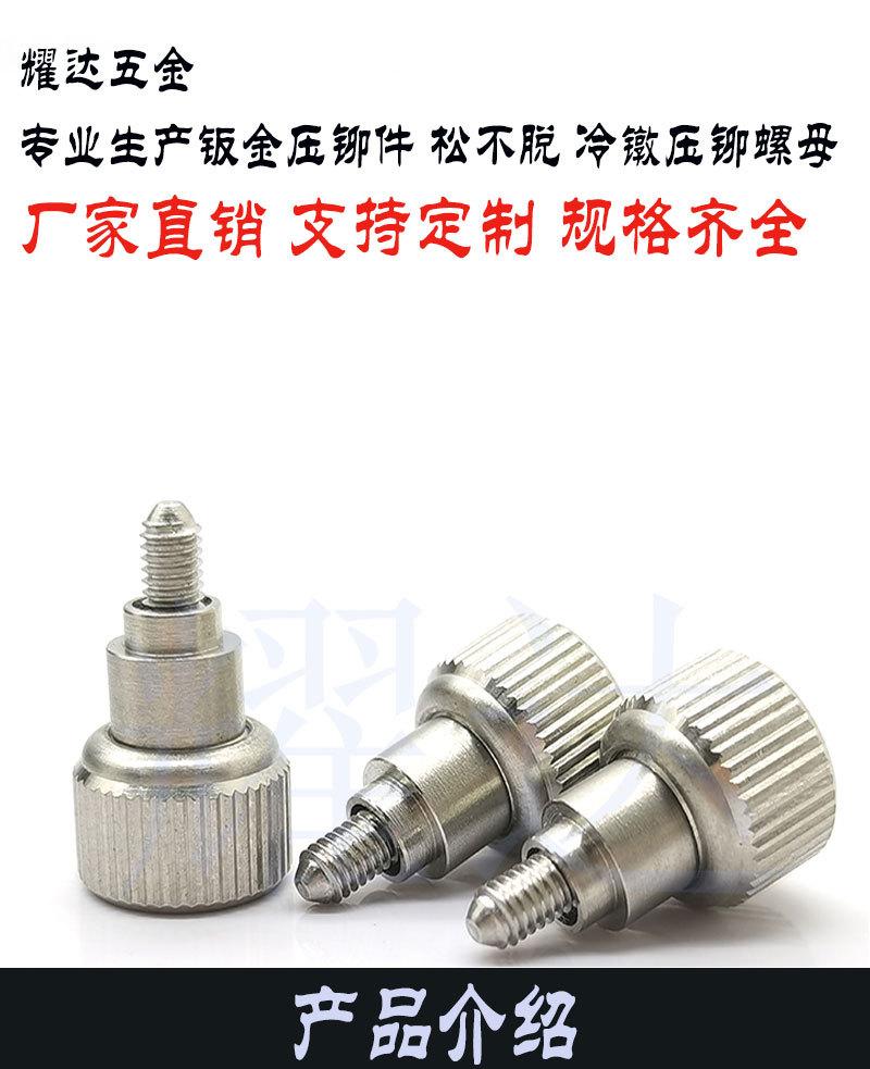 YD41不锈钢弹簧螺钉_01.jpg