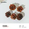 Materiais para Artesanato DIY de Flores Eternas no Atacado, Flores Secas, Frutas Secas, Rodelas de Laranja, Pinhas, Adereços para Fotografia de Flores, Materiais para Artesanato DIY de Jardim de Infância