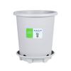 Caja entera al por mayor de fruta pequeña ting 3 generación espesada antioxidante control de raíces cuenca de galón de montaña verde Red Cuenca de escritorio de oficina
