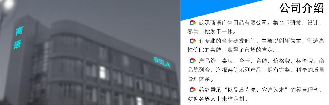 公司介绍