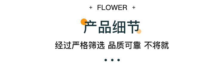 羽毛草_05.jpg
