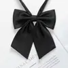 Lizi Cerdo Jk Color Sólido Pluma Corbata de Lazo Angulada Camisa para Estudiante Mujer Accesorio Pequeño Versátil Japonés Estilo Básico