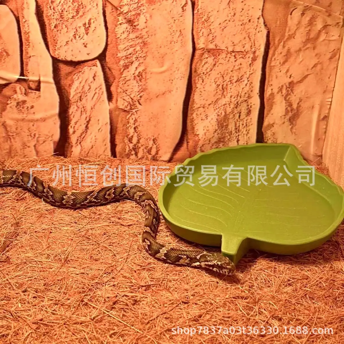 椰垫9.JPG