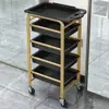 Novo Carrinho de Cabeleireiro, Carrinho de Ferramentas para Salão de Beleza, Carrinho de Cabeleireiro Multifuncional, Carrinho para Permanente e Coloração de Barbearia, Carrinho de Armazenamento